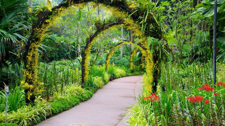 زهرة البستان لتنسيق الحدائق