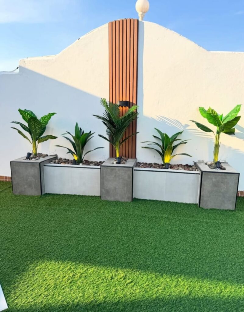 زهرة البستان لتنسيق الحدائق